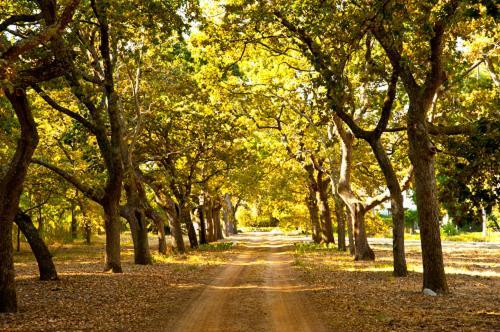 Lekkerwijn Historic Country House Franschhoek Esterno foto